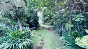 Well-maintained villa with tropical garden - Julianadorp,  Julianadorp