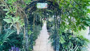 Goed onderhouden villa met tropische tuin - Julianadorp,  Julianadorp