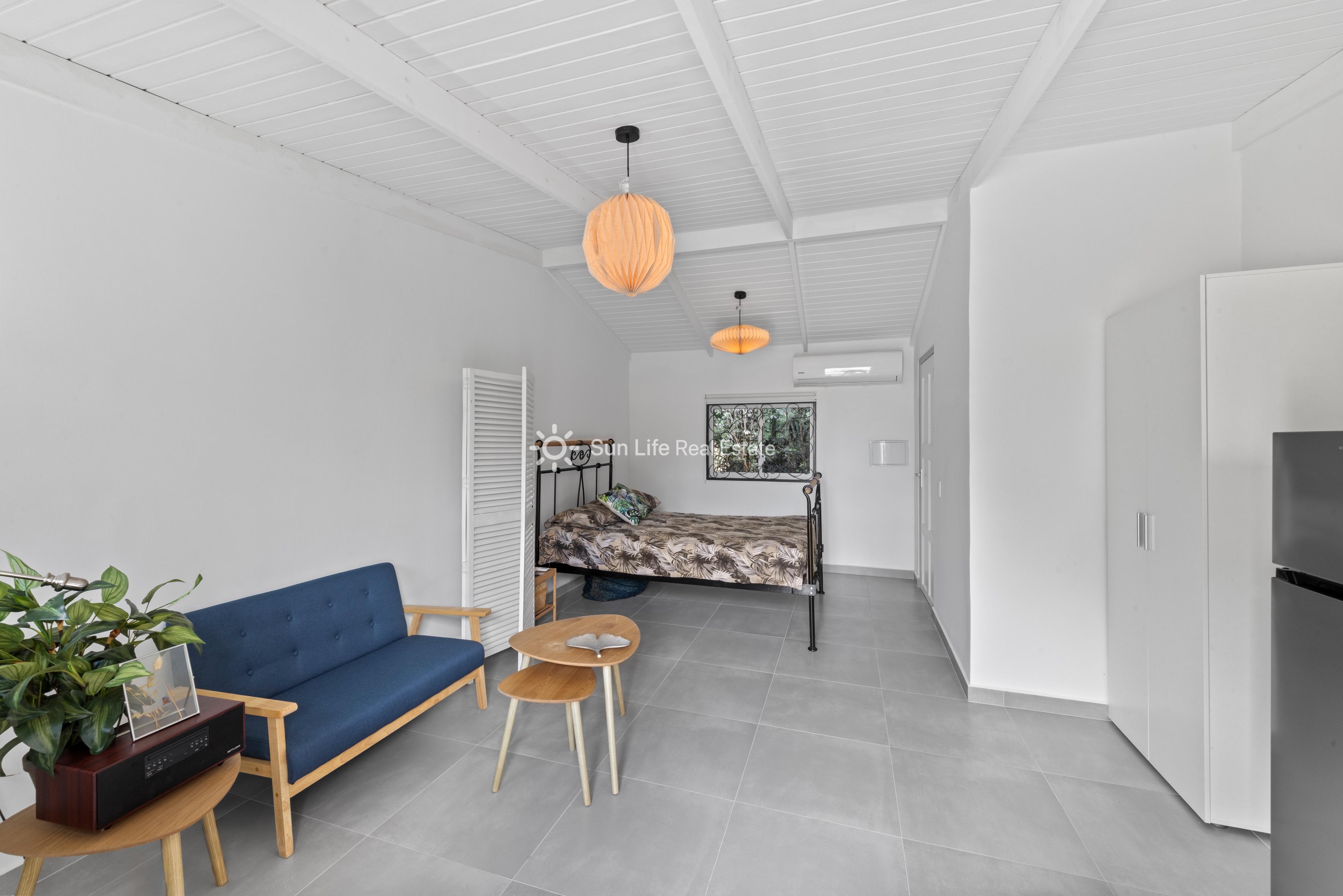Renovated Villa with Guest Apartment in Julianadorp
