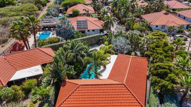 Living and Working in Curacao as a Dutch Expat – Your Complete Guide